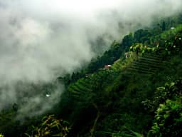 Darjeeling honeymoon packages — KindQuest Travel