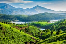 Munnar honeymoon packages — KindQuest Travel