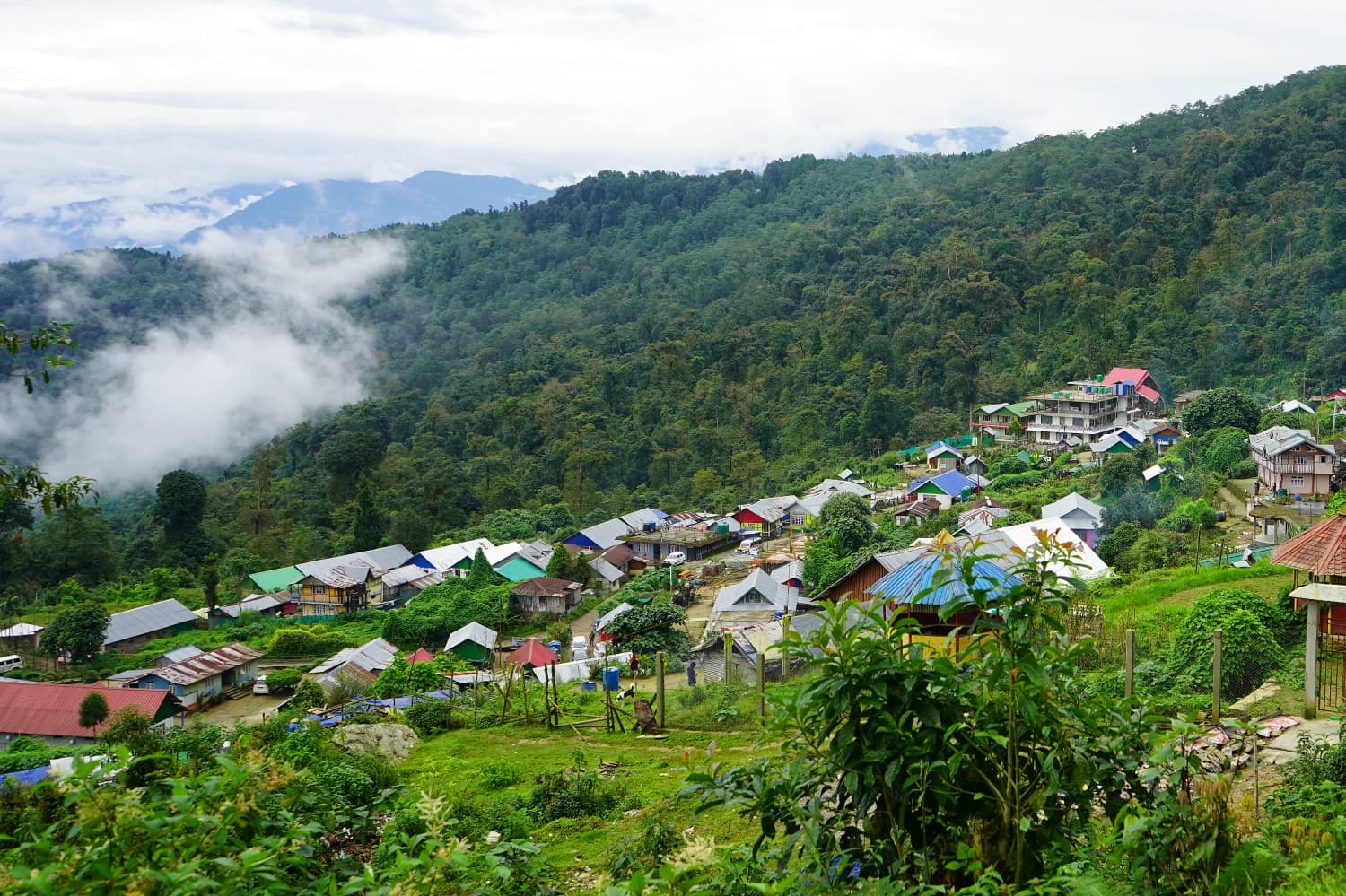 Trip to Darjeeling Hill Escape — 3 nights, 4 days covering Bagdogra/NJP, Darjeeling, Mirik