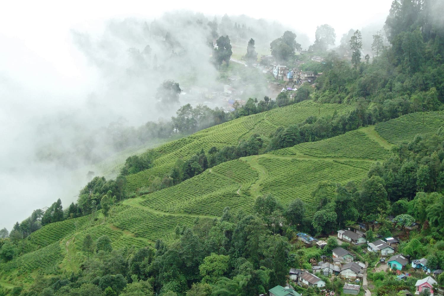 Explore Darjeeling — 2 nights, 3 days covering Bagdogra/NJP, Kurseong, Darjeeling, Tiger Hill, Ghoom Monastery, Batasia Loop, Himalayan Mountaineering Institute, Padmaja Naidu Himalayan Zoological Park, Tenzing Rock, Tibetan Refugee Self-Help Centre, Happy Valley Tea Estate, Japanese Peace Pagoda