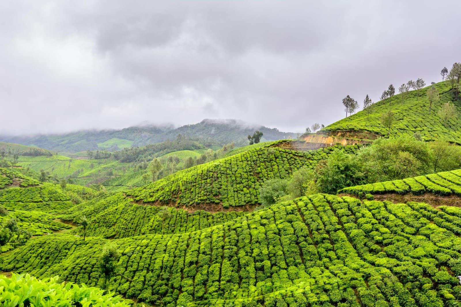 15 Best Places to Visit in Monsoon in India: Where Rain Makes Travel Magical