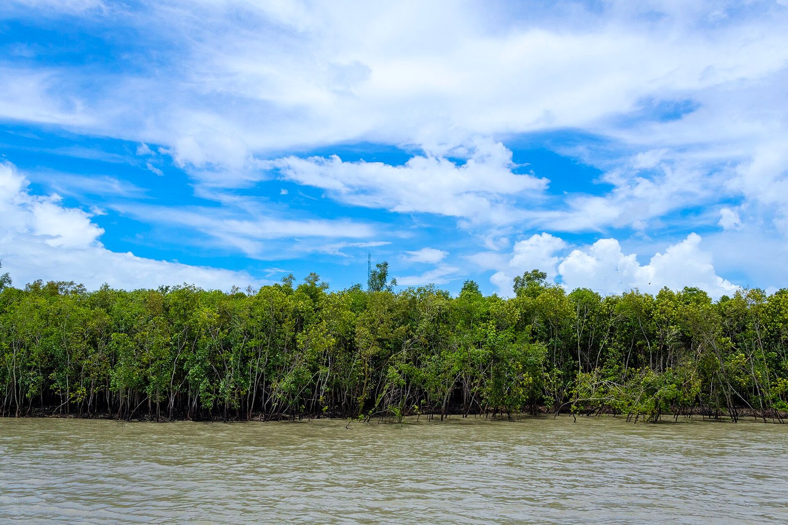 Sundarbans National Park - 2Nights — 2 nights, 3 days covering 2N West Bengal