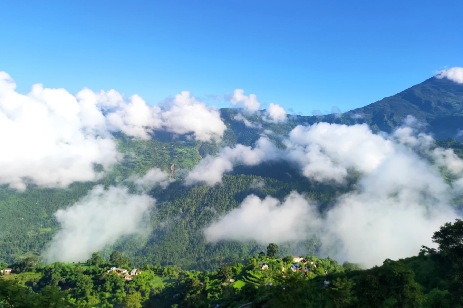Relaxing Manali Getaway — photo 1 of 7