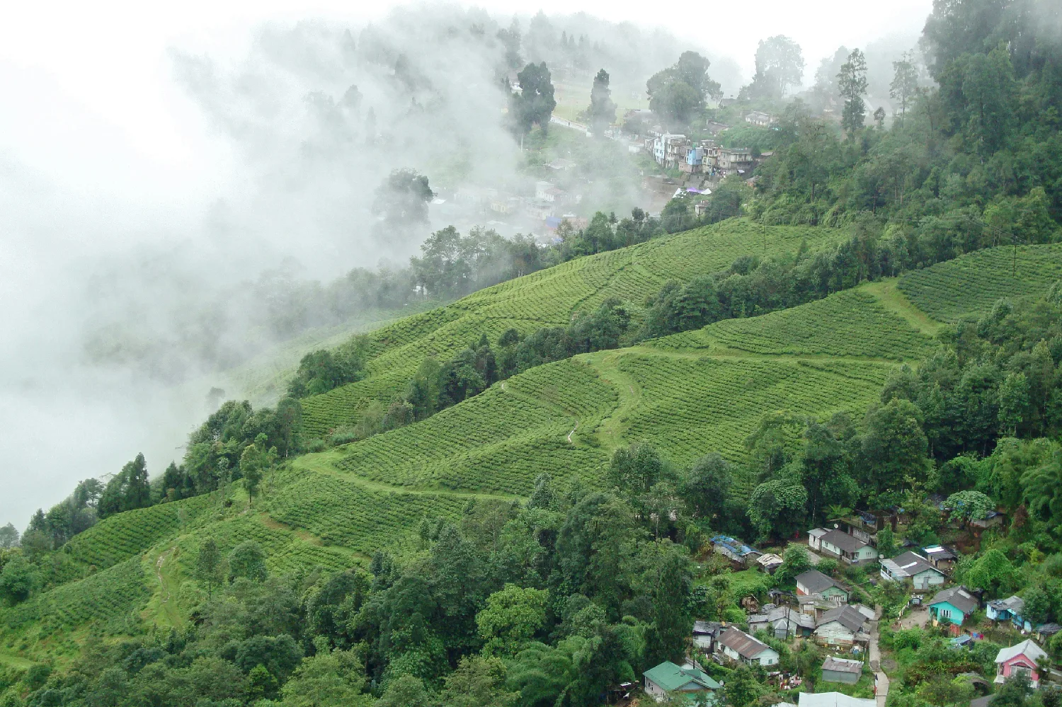 Explore Darjeeling — photo 1 of 5