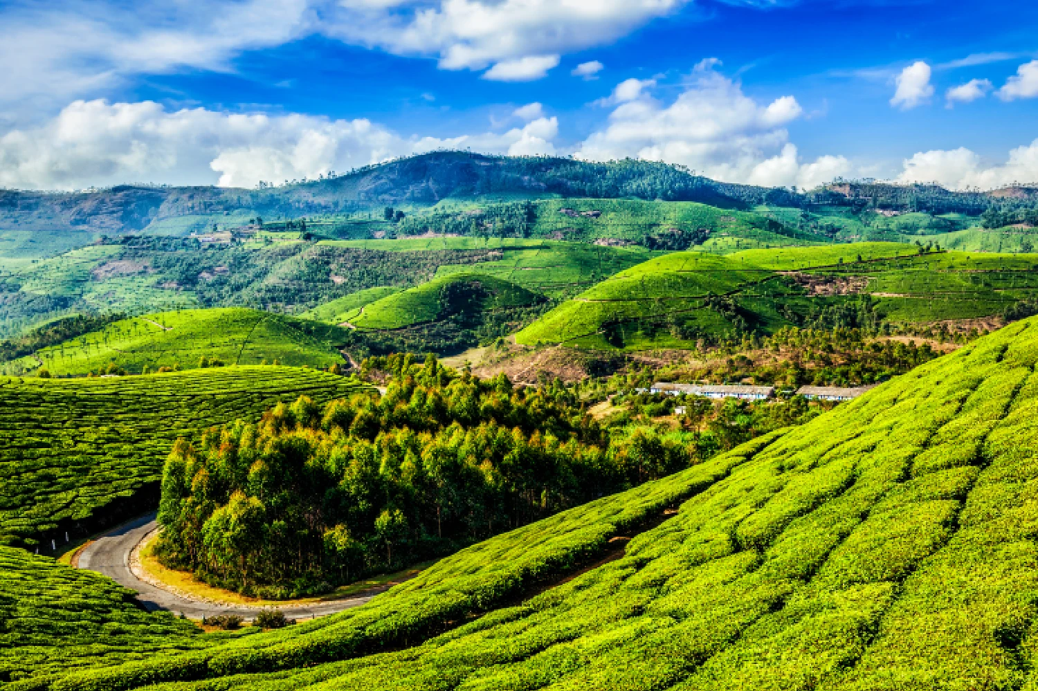 Picturesque Ooty Vacay — 3 nights, 4 days covering 3N South India