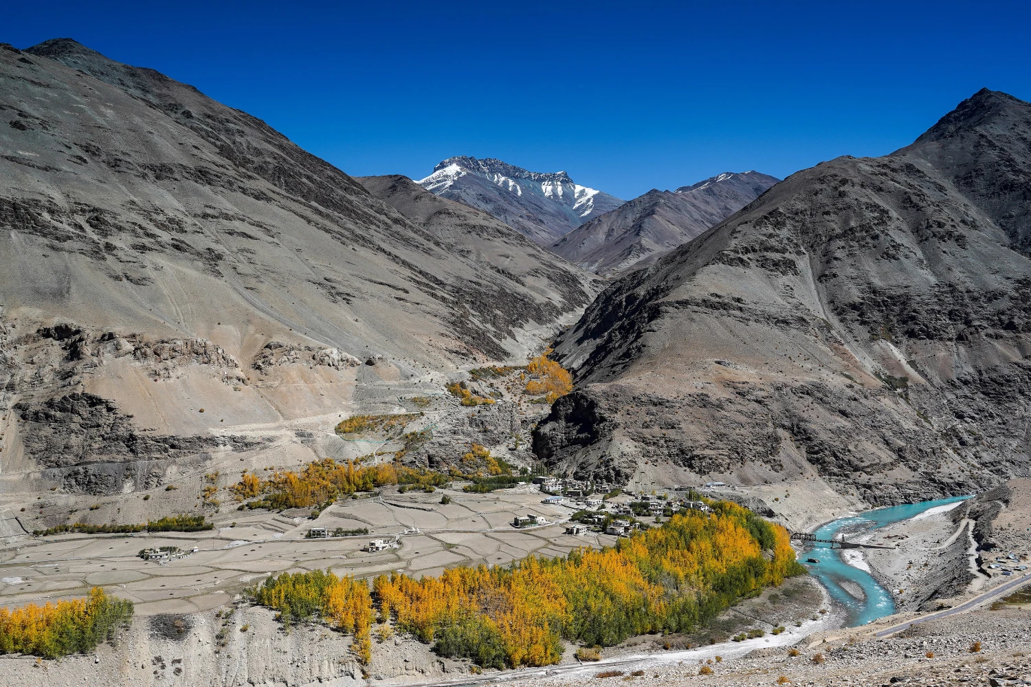 Best of Ladakh Package — photo 1 of 5