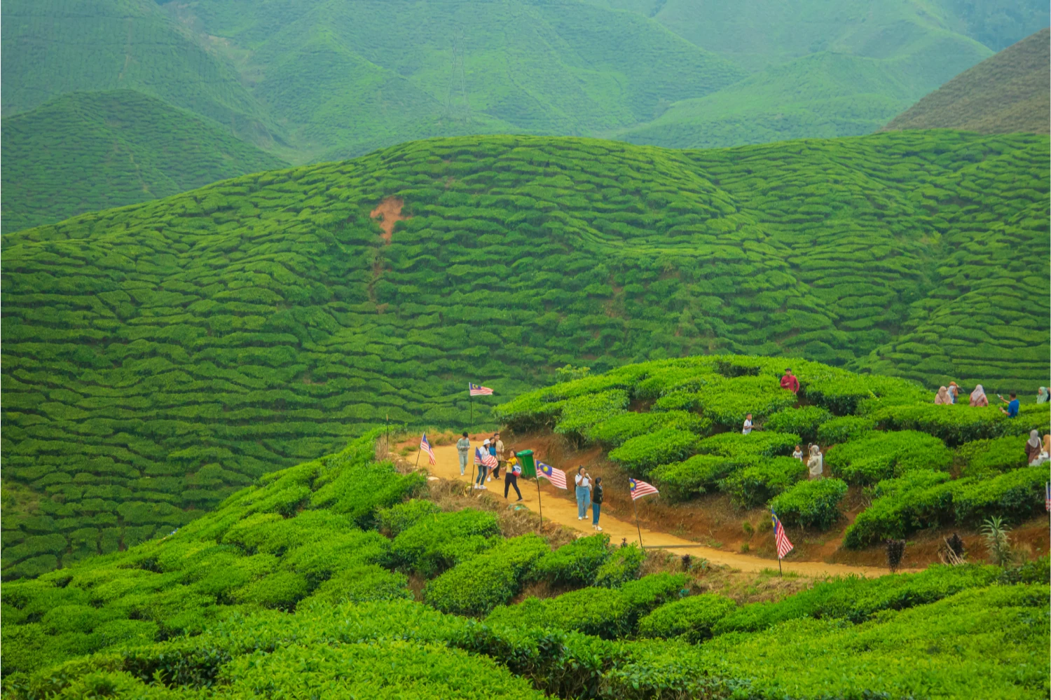 Gangtok, Pelling & Darjeeling Holiday — 6 nights, 7 days covering 6N Darjeeling
